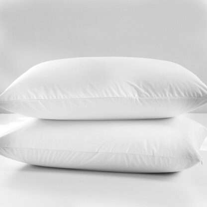 Bed Bug Pillow Cover